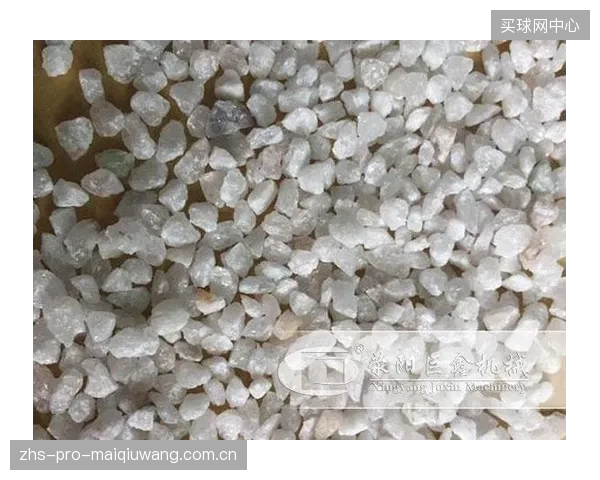 当一块专业级石英砂场地的成本高达10万美元时，这项运动在校园中的普及之路还能走多远？